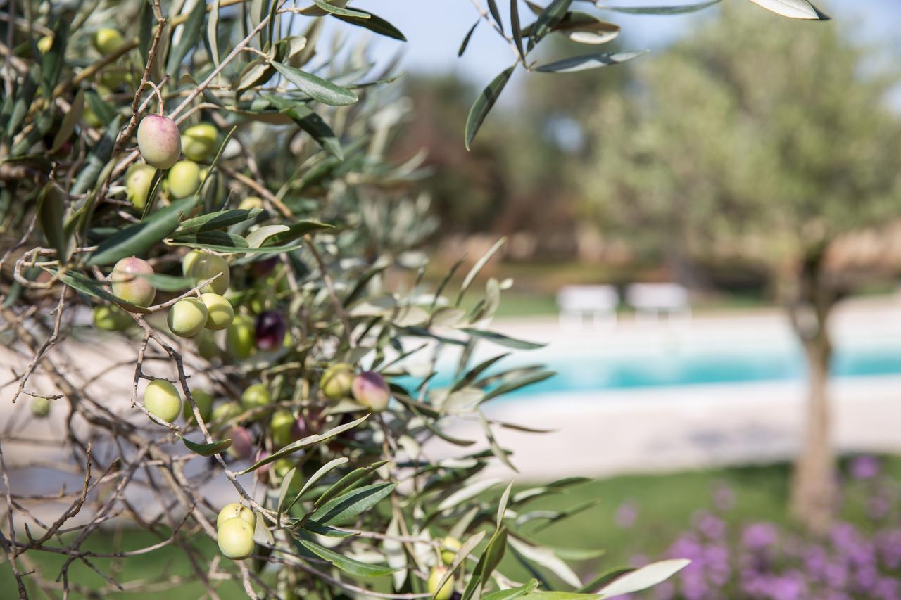 רופאנו Masseria Saietti מראה חיצוני תמונה